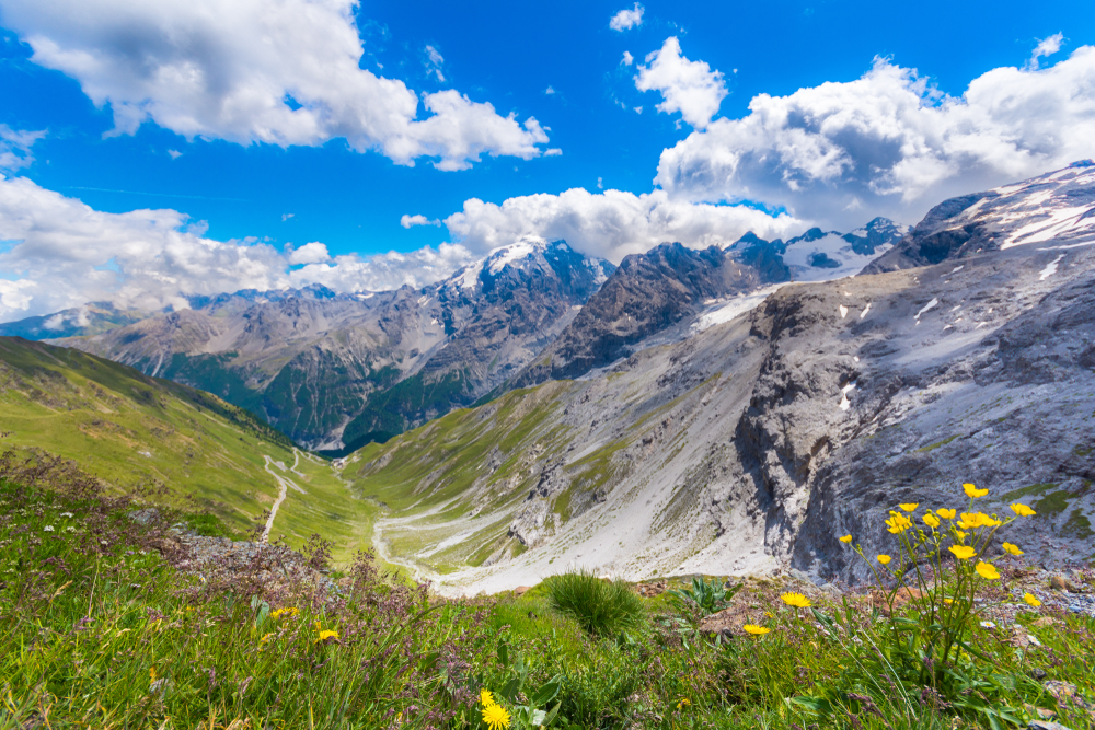 Parco nazionale dello Stelvio